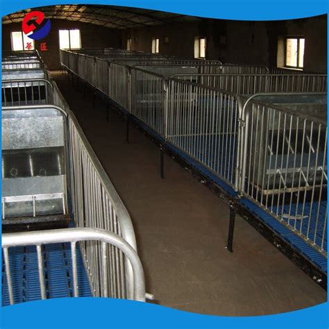 china hog pen